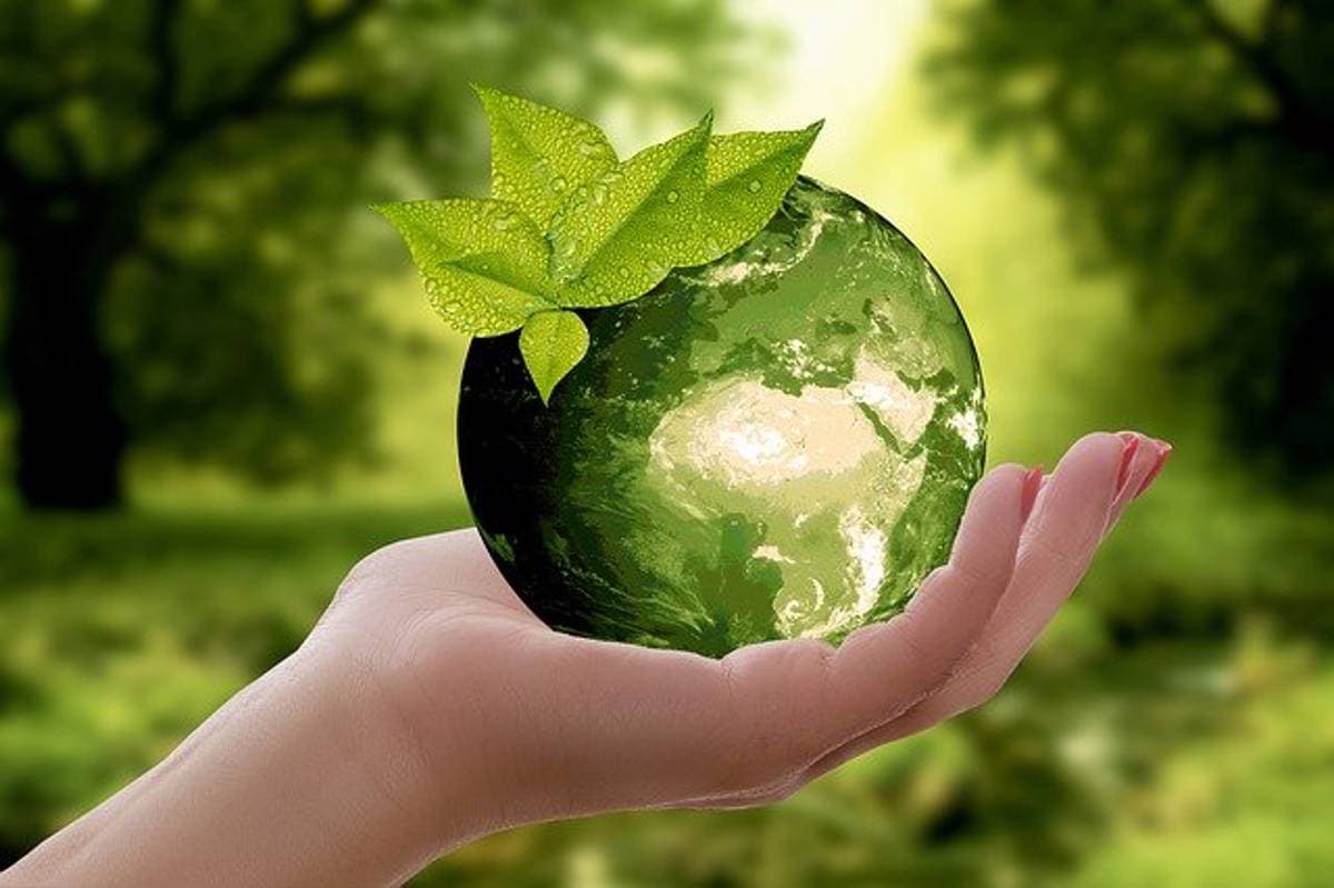 Green Innovation - Çevre Danışmanlığı