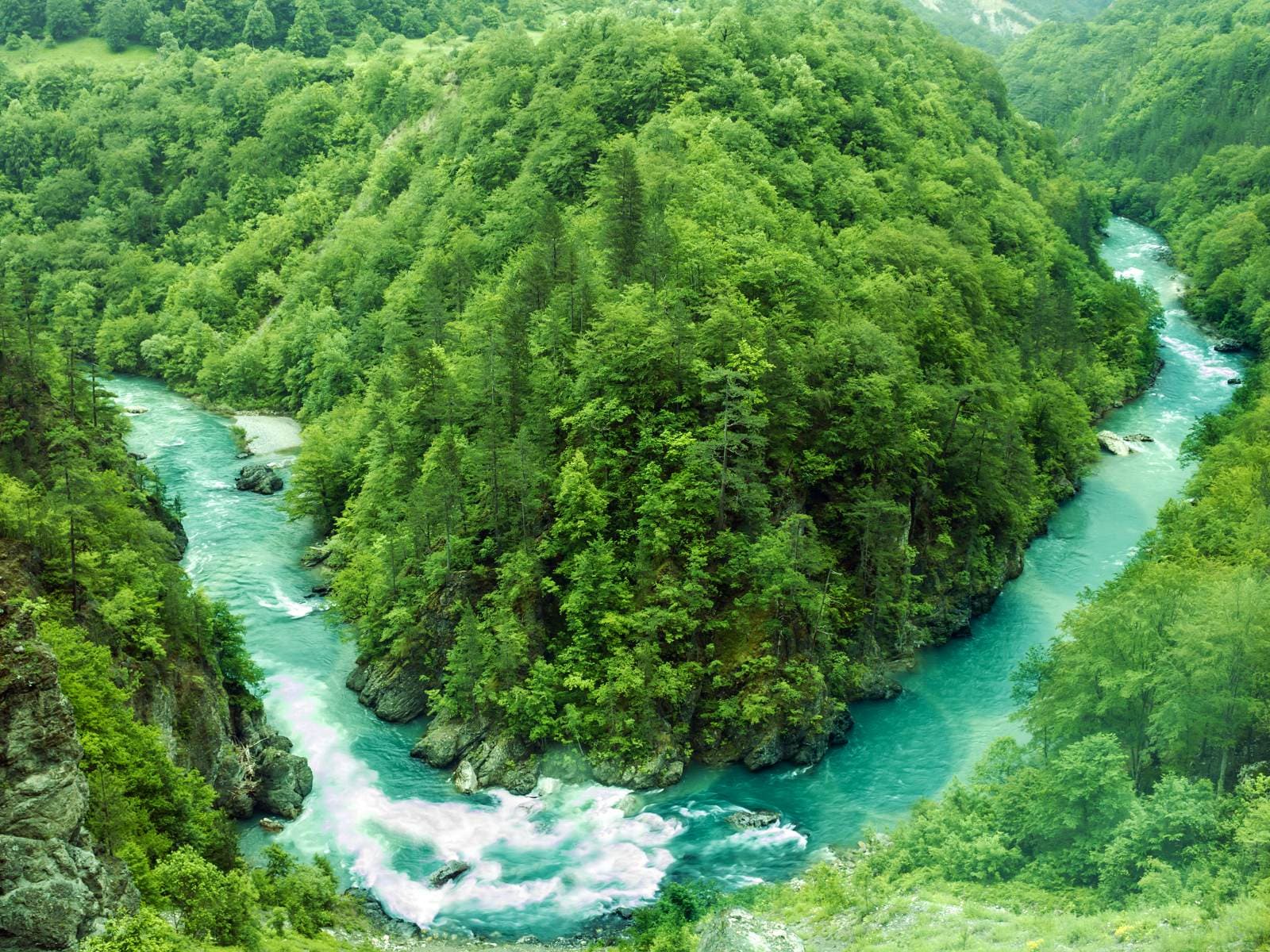 Green Innovation - Çevre Danışmanlığı Hero